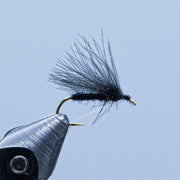 CDC caddis fly with black and dark gray feather tail and shiny hook