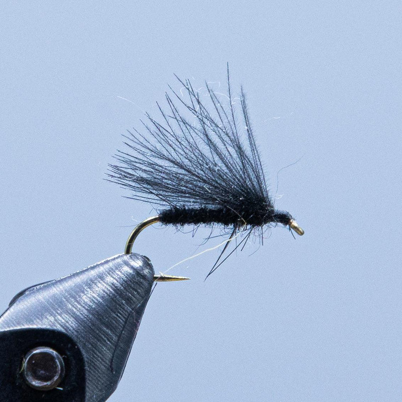 CDC caddis fly with black and dark gray feather tail and shiny hook