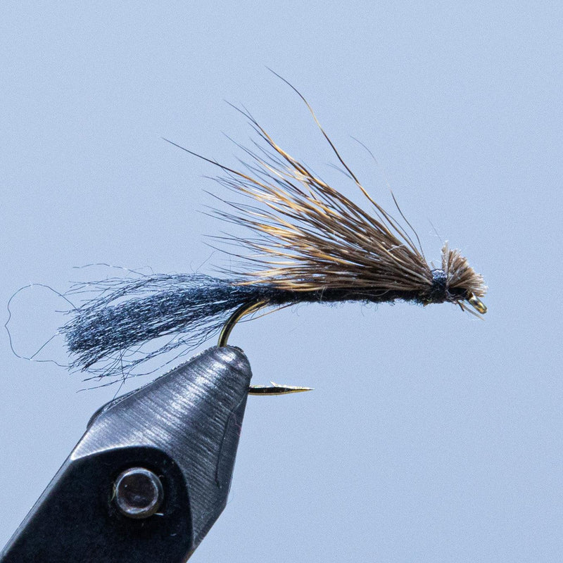 Caddis fishing fly with gray body and brown/cream hackle on dark hook