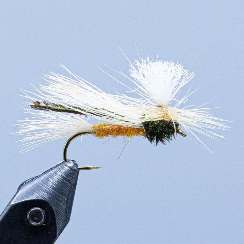 Bug Meister fly fishing lure with white foam wing and black wire hook