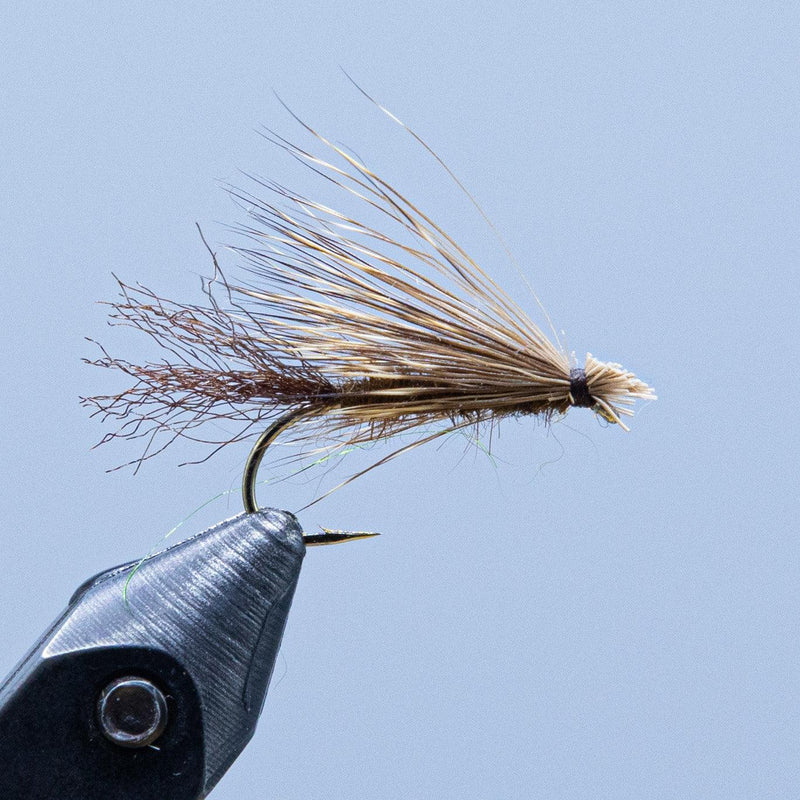 Caddis fishing fly with tan-brown hackle and dark hook