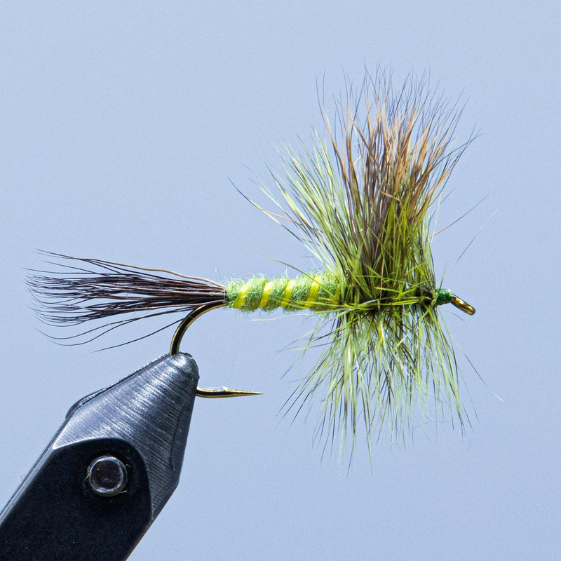 Green Drake Wulff fishing fly with green and gold body and tail fibers