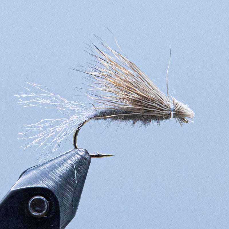 Caddis fishing fly with beige hackle and dark hook