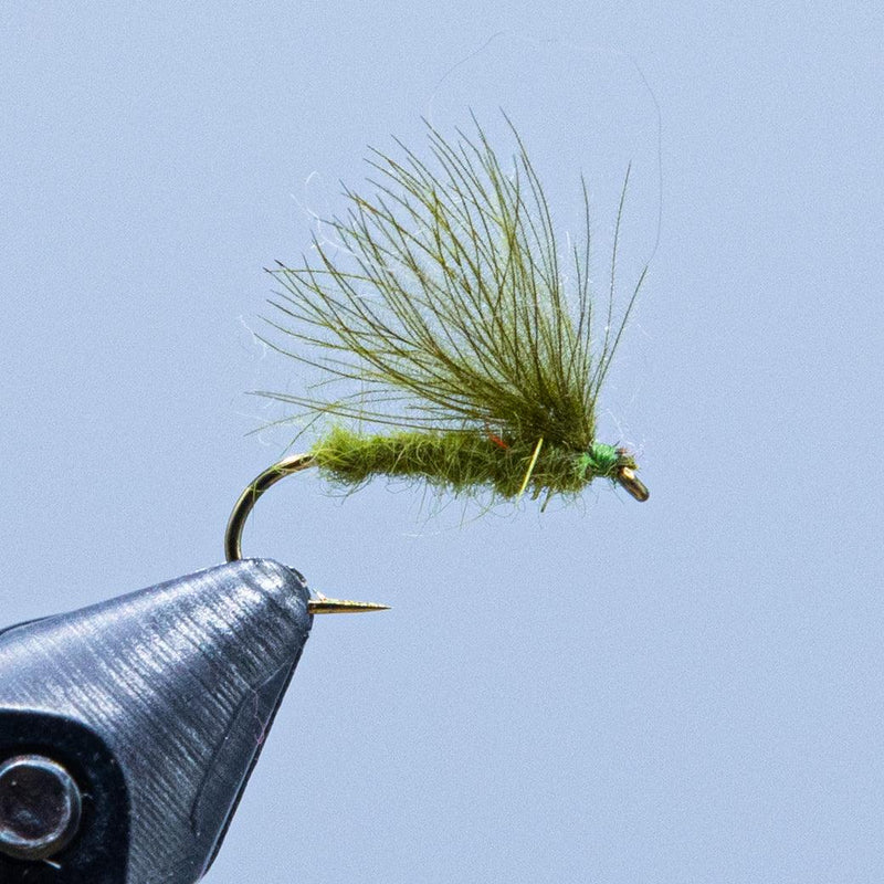 CDC caddis fly with olive green feather tail and shiny dark hook