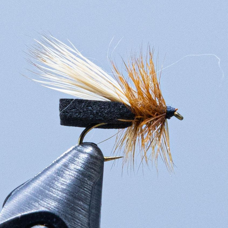 Black caddis fly fishing lure with dark dubbing head and tan hackle