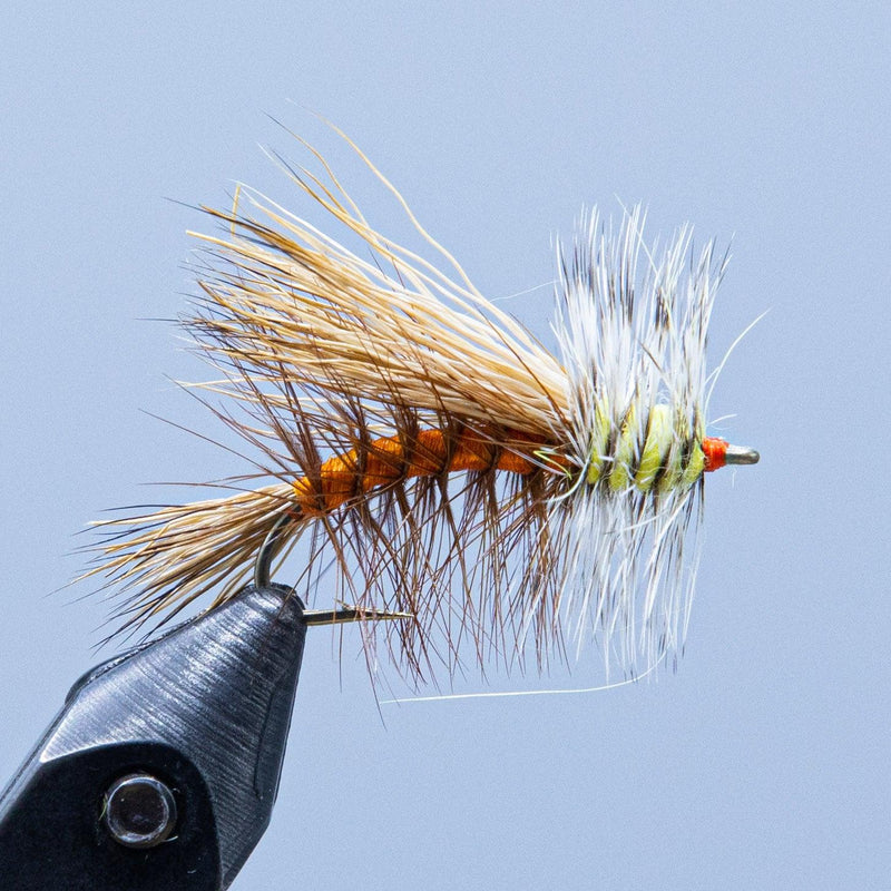 Fishing fly lure with orange-brown body and pale blue-white hackle feathers on hook