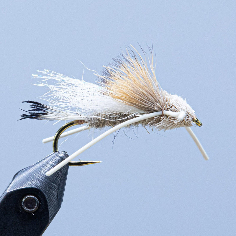Tarantula-style fishing fly with white body, tan hackle, and dark legs on a hook
