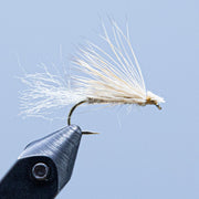 Caddis fishing fly with white hackle and dark hook