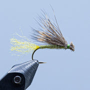 Caddis fishing fly with brown/cream hackle and dark hook