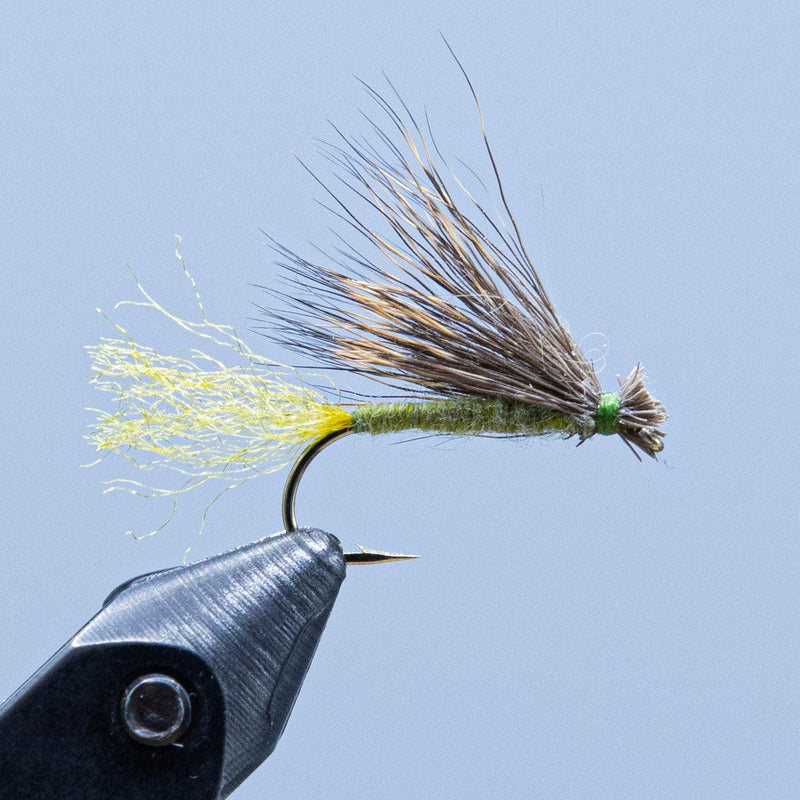 Caddis fishing fly with brown/cream hackle and dark hook