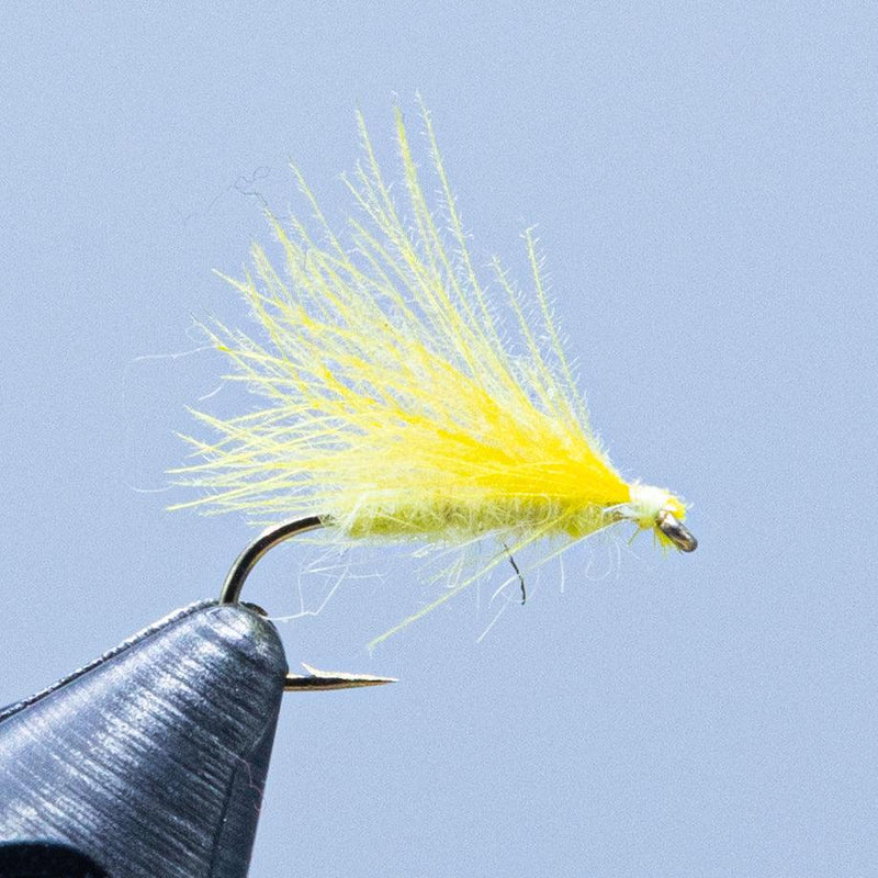 CDC caddis fly with bright yellow feather tail and shiny dark hook