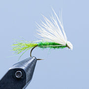 Caddis fishing fly with green body, white hackle, and dark hook