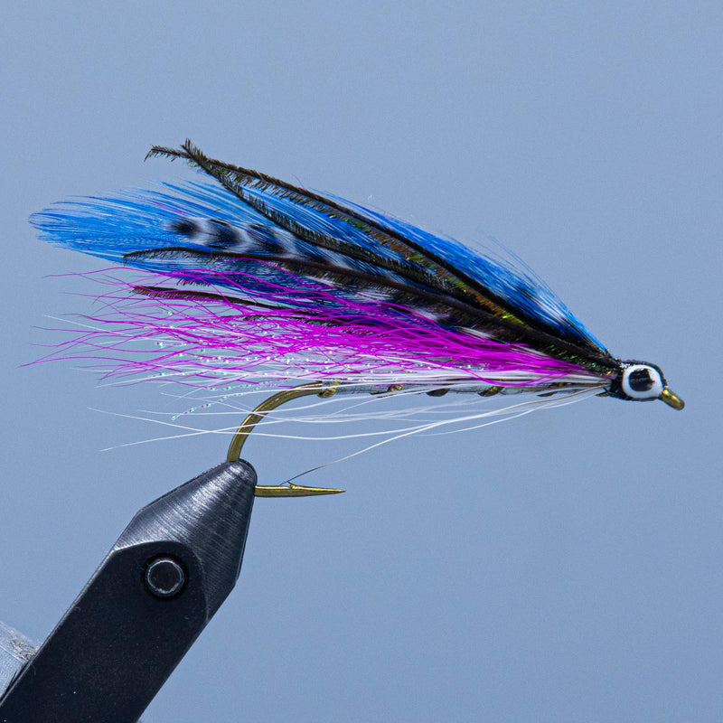 Sneeka fly fishing lure with blue and purple feathers and black wing, bead eye