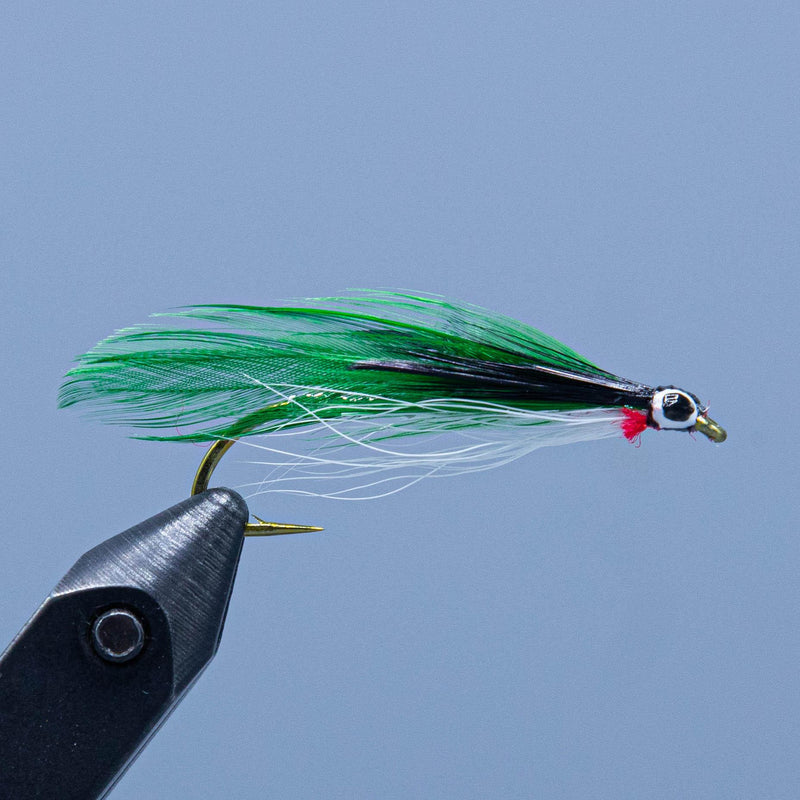 Nine htree at a maine fly shop