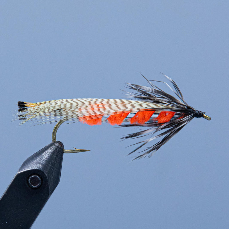 Feather fishing lure with speckled body, red-orange bands, and black hackle on hook