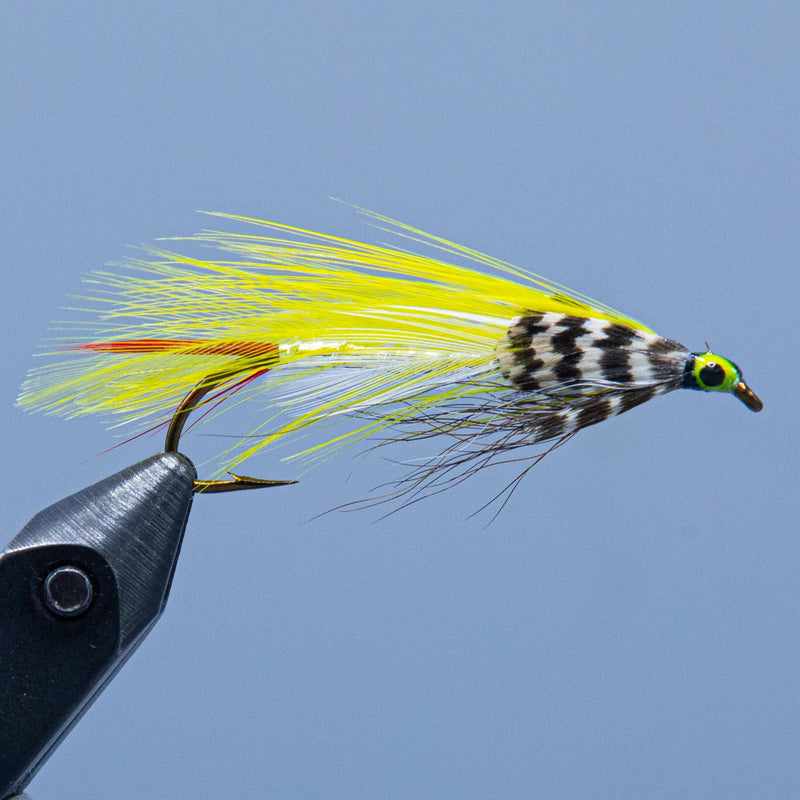 Fishing fly streamer with yellow flash tail, white body with black spots, green eye