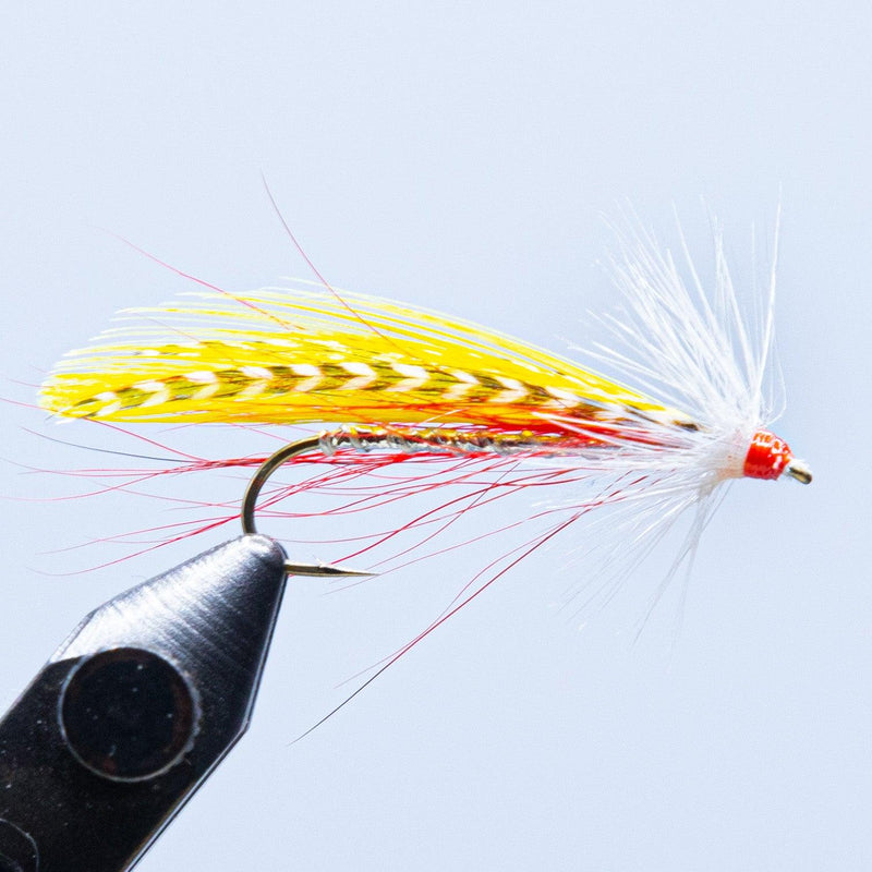 Fishing fly lure with yellow tinsel body, red bead head, white feather tail and hook