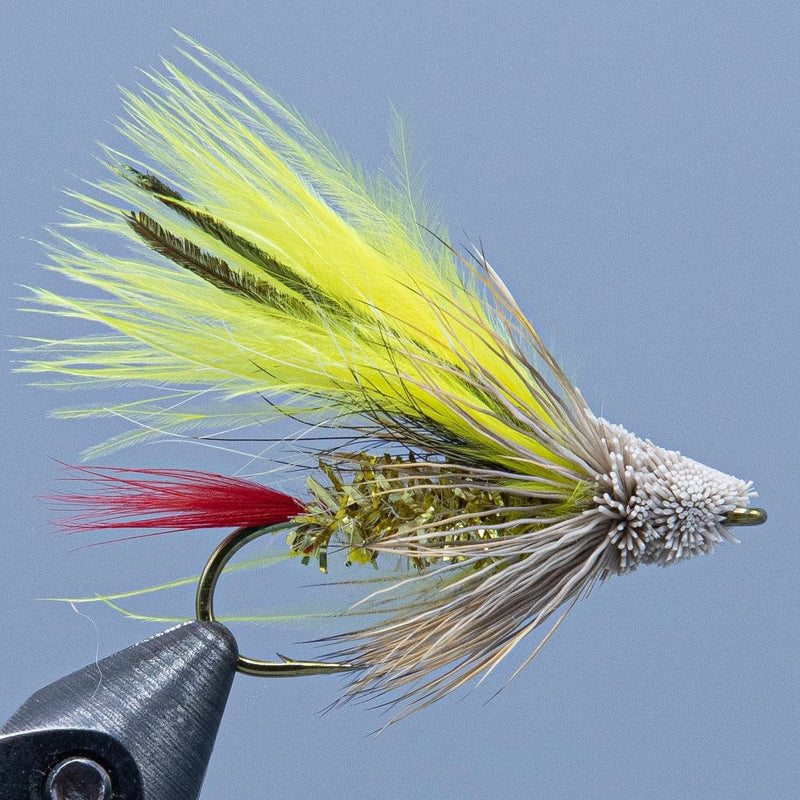 Feather muddler fly with yellow-green marabou tail and barred olive hackle