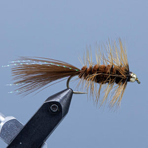 wooly bugger at a maine fly shop