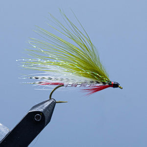 an olive and white  Dam wammy fishing fly from the maine fly shop