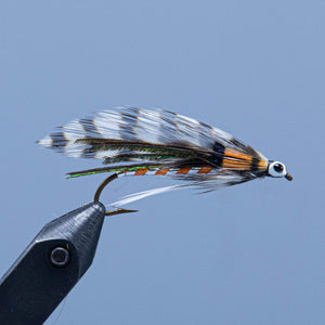 golden witch streamer fly tied in NH at a Maine fly shop