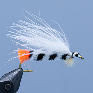 gravel gertie, a black and white streamer fly with an orange tail tied for a maine fly shop