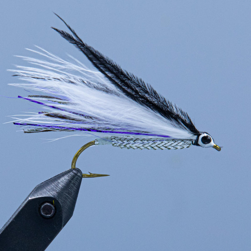 Fishing fly lure with black and white feather tail, purple accents, ribbed body