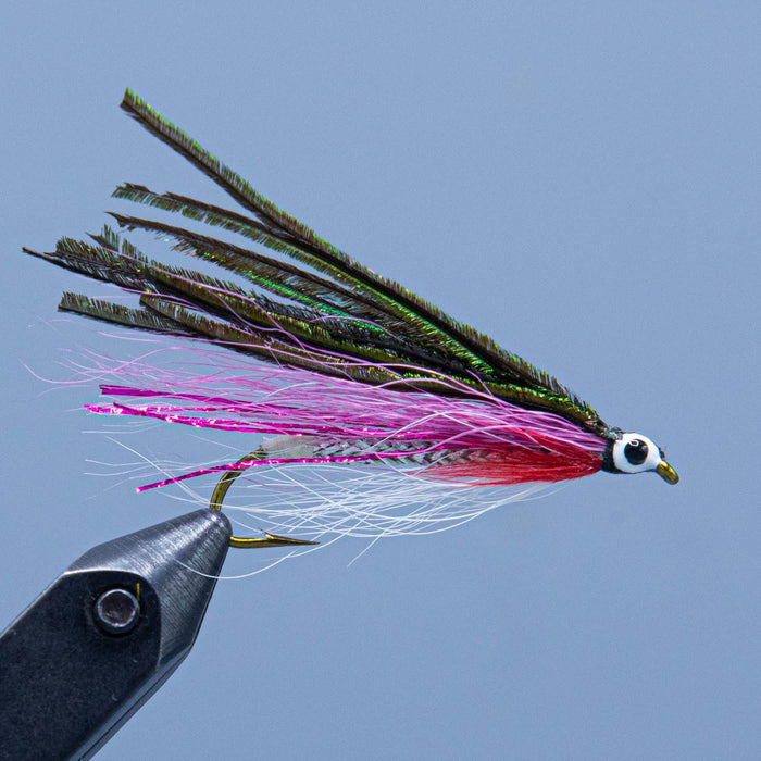 A peacock and lavender streamer fly with a red throat, the Governor Aiken is tied for a Rangeley Fly Shop