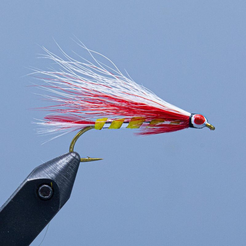 Parmachenee Belle streamer fishing fly at a Maine fly shop
