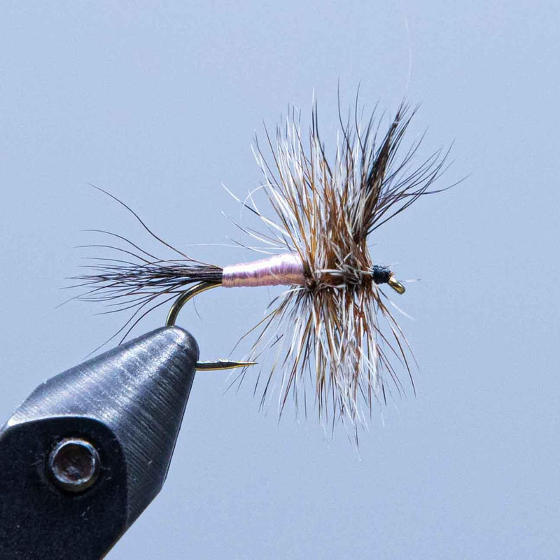 Black Wulff fishing fly with dark hair wing and barbless hook