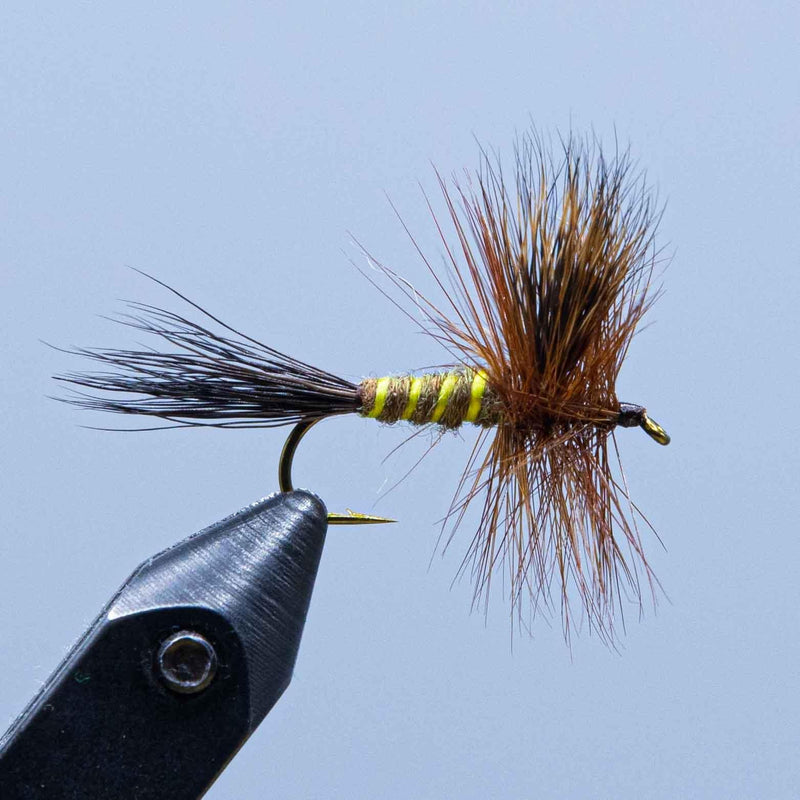 Dry fly fishing lure with brown hackle, green-and-yellow body, and black hook
