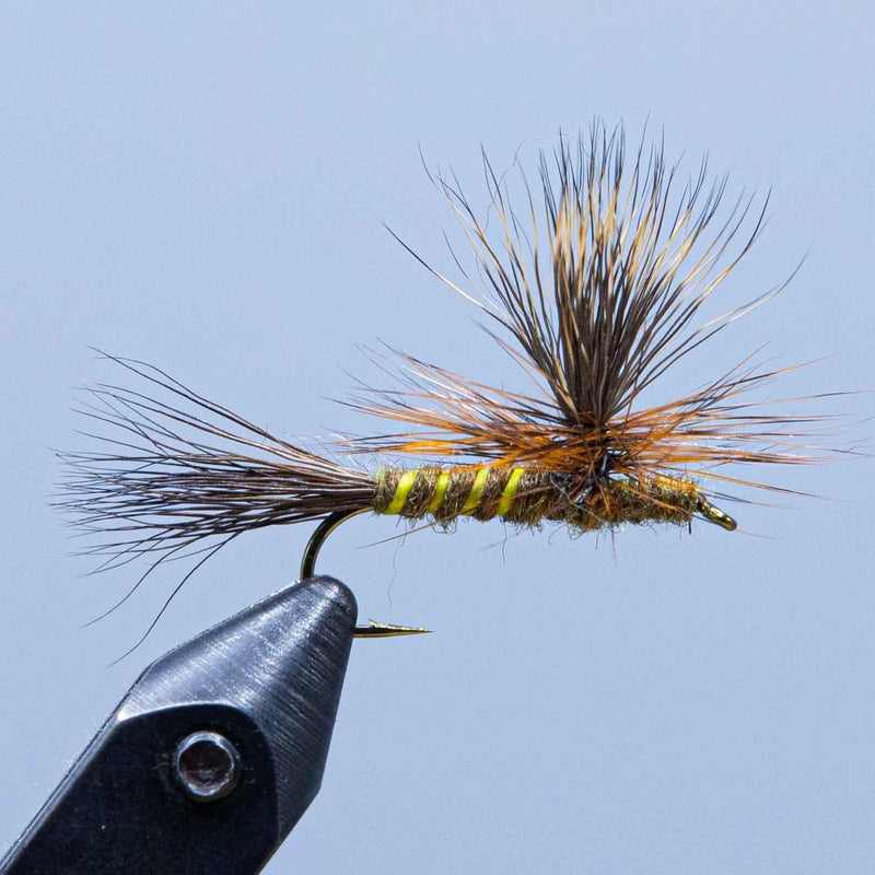 Brown para-drake fishing fly with yellow-and-brown body and feathered tail