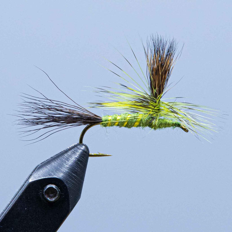 Green Para-Drake fly with green tinsel body and feather wing, on dark hook