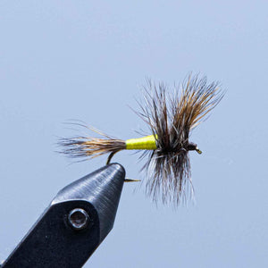 grizzly wulff at a maine fly shop