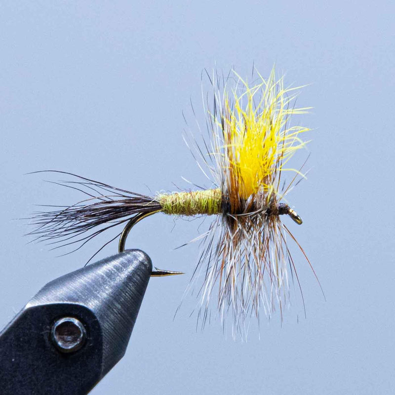 Fishing fly lure with black hook and yellow feather tail