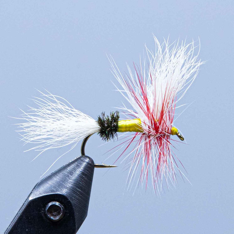 Feather fishing lure with white and red tail, yellow body, black hook
