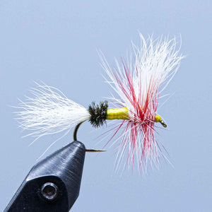 Parmachenee Belle Wulff at a maine fly shop