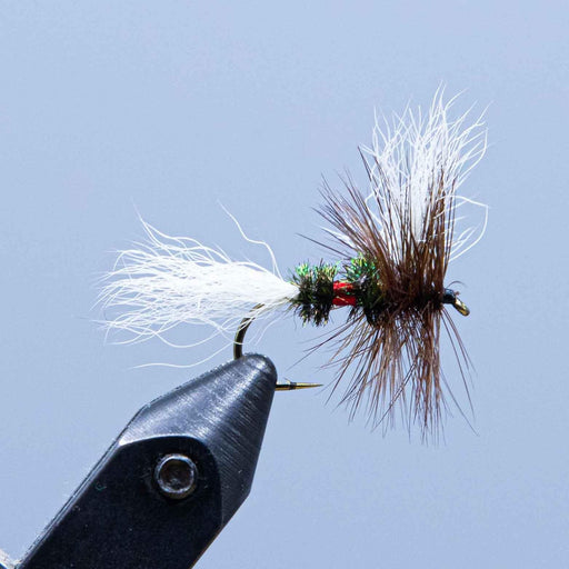 royal wulff at a maine fly shop