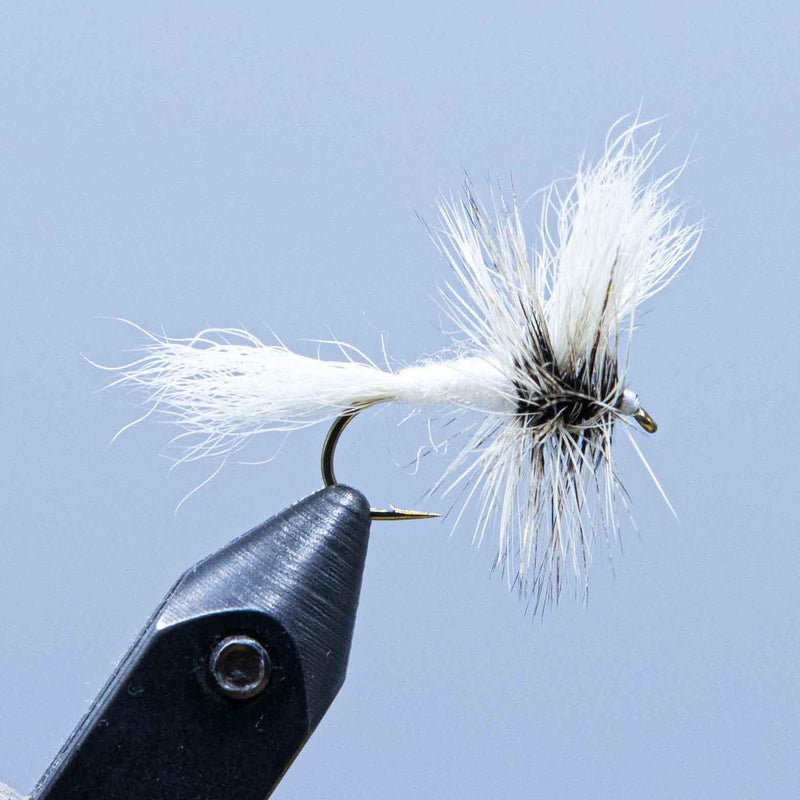 White Wulff fishing fly with white feather tail and black hook
