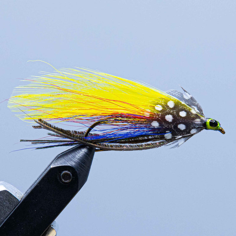 Yellow and black spotted fishing fly lure with blue and white tail fibers