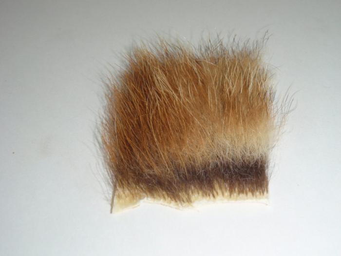 Red fox fur strip with dense long hair, brown-red tones