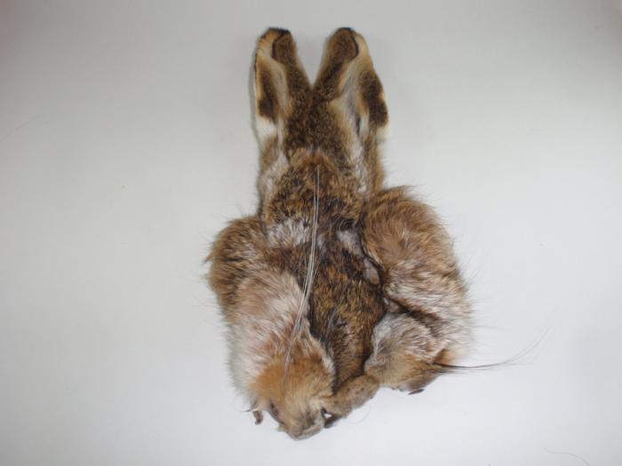 Wapsi hares mask in natural brown faux fur with upright ears