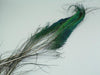 peacock swords from Rangeley Maine fly fishing shop