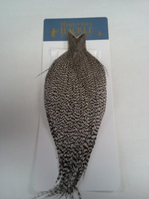 whiting farms high and dry hackle cape grizzly from Rangeley Maine fly fishing shop