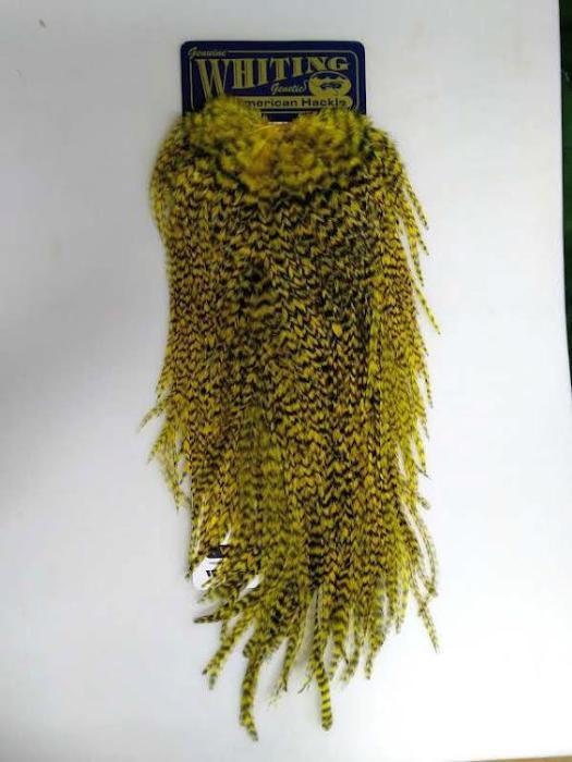 whiting american grizzly rooster saddle from Rangeley Maine fly fishing shop