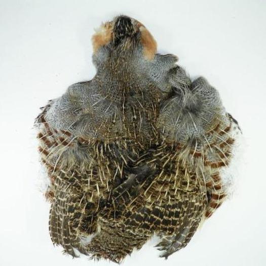Hungarian Partridge Whole Skin from Rangeley Maine fly fishing shop