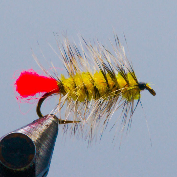 Feather fishing fly lure with yellow-green fuzzy body, red tail, curved black hook