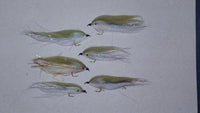 pseudo marabou from Rangeley Maine fly fishing shop