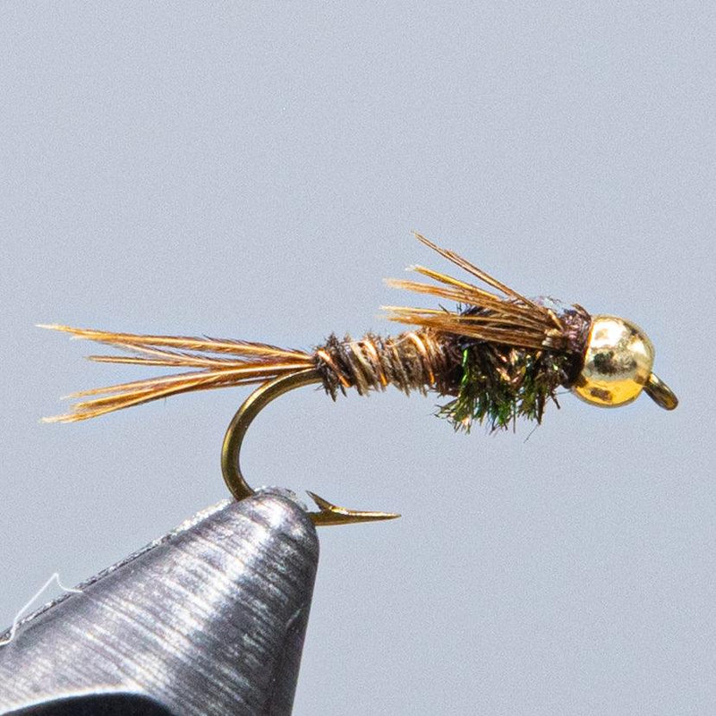Pheasant tail beadhead fly with gold bead and pheasant-feather tail