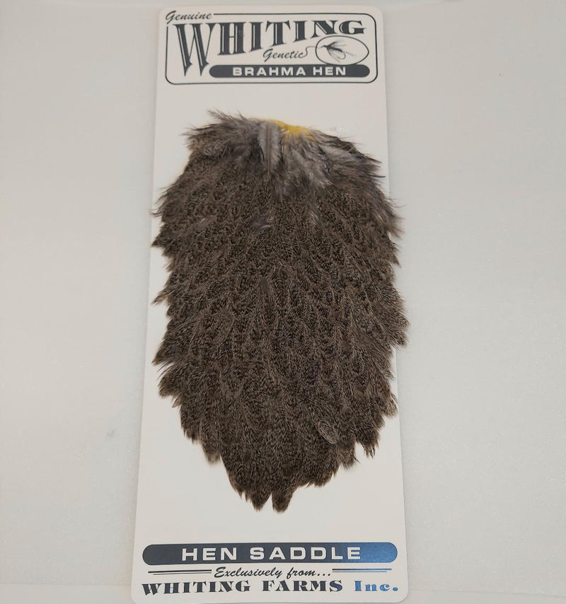 Whiting Farms Brahma hen saddle, dark mottled gray feathers